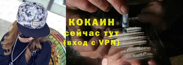 сатива Бородино