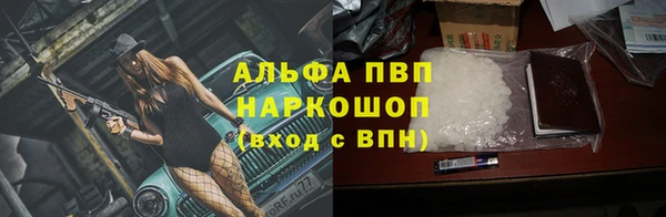 сатива Бородино