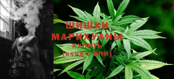 сатива Бородино