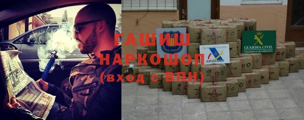 сатива Бородино